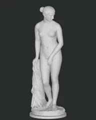 Bust of David by Michelangelo