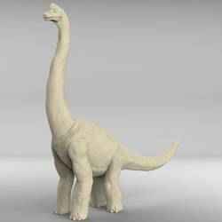 Brachy Long Neck (Brachiosaurus)