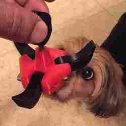 Folding Grapple Hook