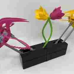 Hummingbirds.