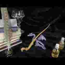 Viktor Krum’s Wand